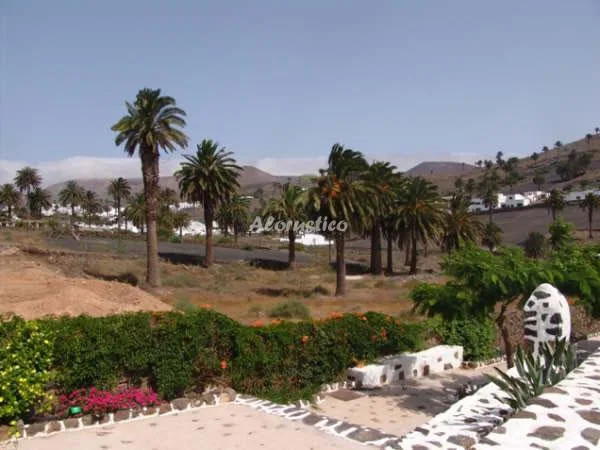 FINCA LA CRUCITA-CASA TABAYESCO en HARÍA — miniatura 14
