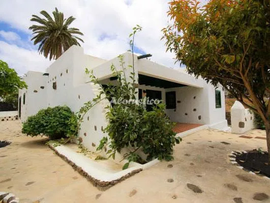 FINCA LA CRUCITA-CASA MALA en HARÍA — miniatura 22