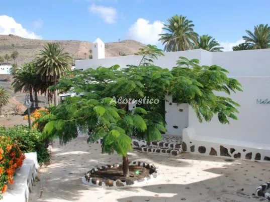 FINCA LA CRUCITA-CASA MALA en HARÍA — miniatura 16