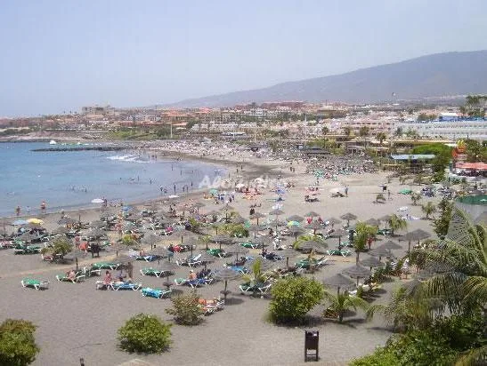 Alojamiento turístico CASA ROSA en ADEJE · ISLAS CANARIAS