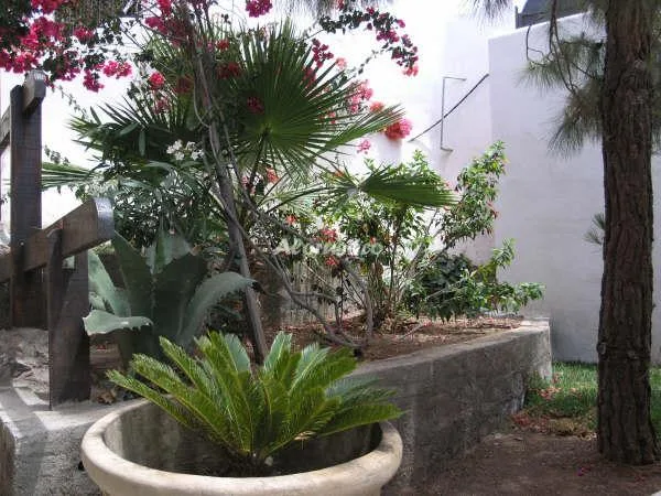 CASA ESTUDIO en ADEJE — miniatura 10