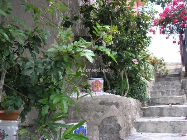 CASA ESTUDIO en ADEJE — miniatura 15