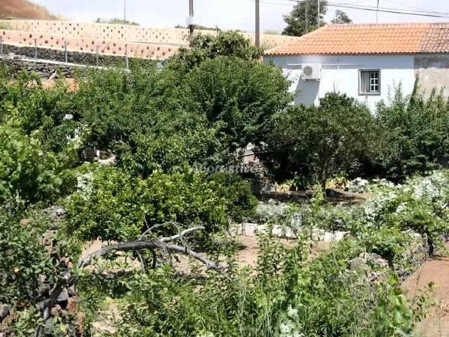 CASA ISABEL en VILAFLOR — miniatura 9