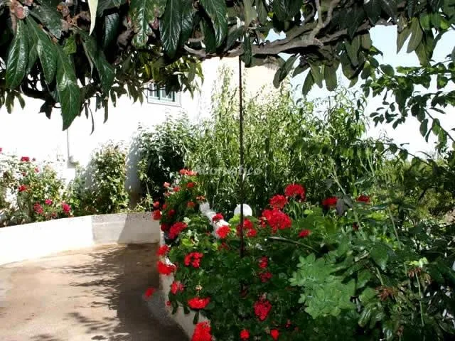 CASA ISABEL en VILAFLOR — miniatura 15