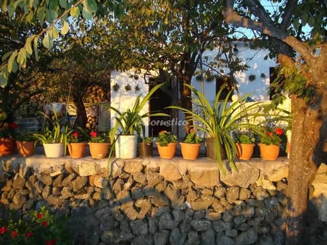 CASA ISABEL en VILAFLOR — miniatura 21