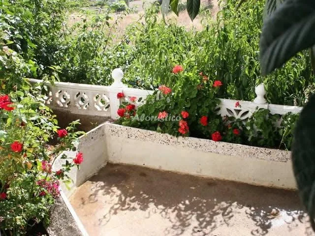 CASA ISABEL en VILAFLOR — miniatura 8