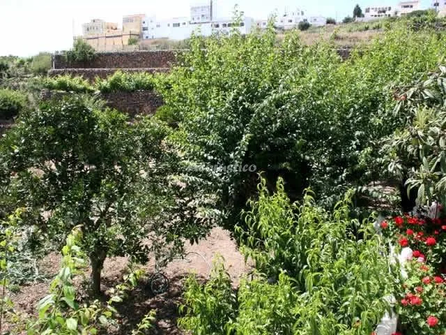 CASA ISABEL en VILAFLOR — miniatura 16
