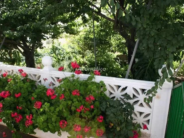 CASA ISABEL en VILAFLOR — miniatura 22