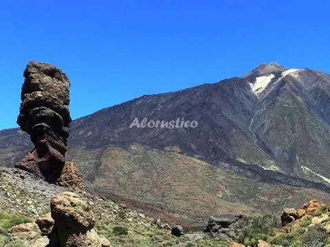 FINCA LA CASITA DEL VIEJO en GUIA DE ISORA — miniatura 13