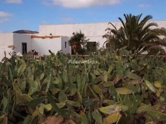 CASA LAS PORTADAS B en LA OLIVA — miniatura 7