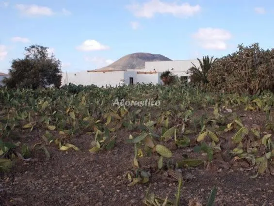 CASA LAS PORTADAS B en LA OLIVA — miniatura 10
