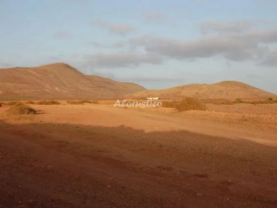 CASA FIMBAPAIRE B en LA OLIVA — foto 2