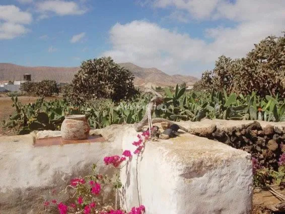 Alojamiento turístico CASA LAS PORTADAS C en LA OLIVA · ISLAS CANARIAS