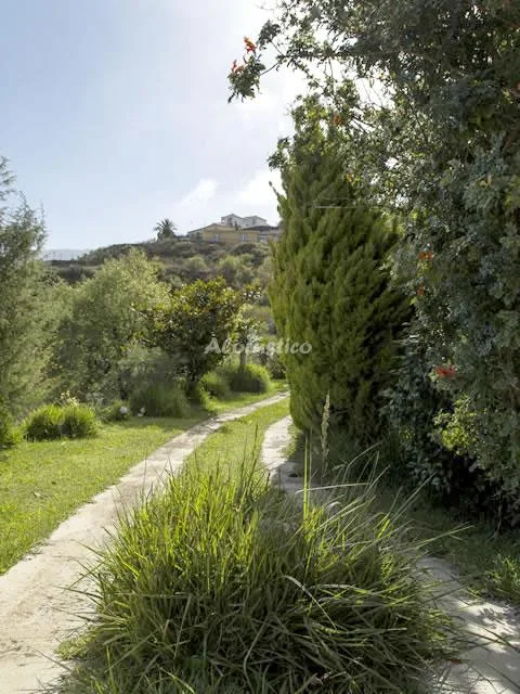 CASA RURAL SANTA LUCÍA en PUNTALLANA — miniatura 6