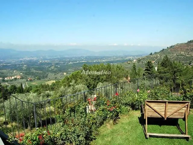 ARCADIA en AREZZO — miniatura 6