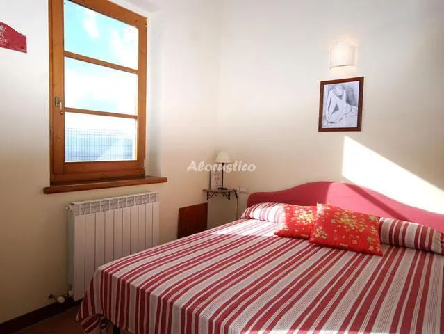 NARCISO en AREZZO — miniatura 4