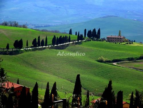 Alojamiento turístico CASA MAZZONI--HABITACIÓN TIMO en SIENA, ITALIA