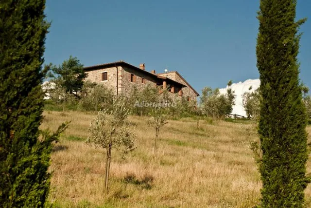 PODERE CAMPAINI - EDERA (PLANTA BAJA) en VOLTERRA — foto 2