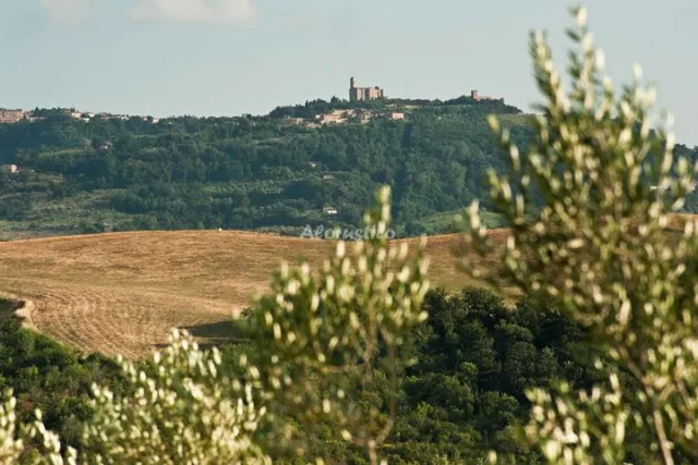 PODERE CAMPAINI - NARCISO (PLANTA BAJA) en VOLTERRA — miniatura 18