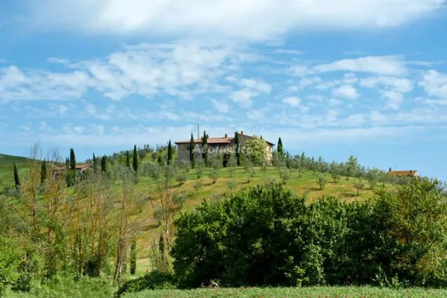 PODERE CAMPAINI - TULIPÁN (PLANTA BAJA) en VOLTERRA — miniatura 15