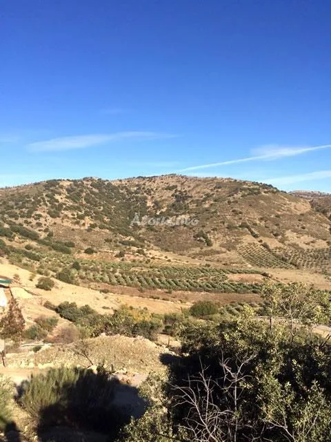 VISTA BONITA en FRAILES — foto 2