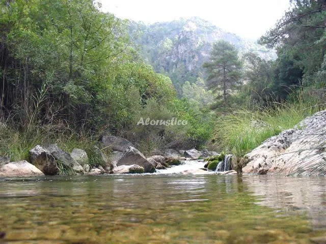 EL AGUAERO en BURUNCHEL — miniatura 21