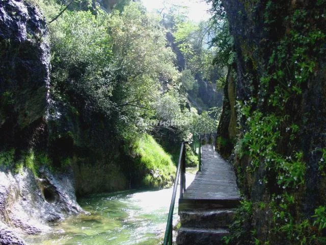 CASA DEL RIO CAZORLA en CAZORLA — miniatura 4