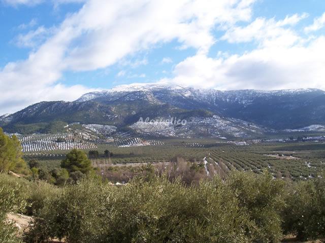 Alojamiento turístico CAMPOS DE HUNGRÍA 2 en CARRASCO, JAÉN