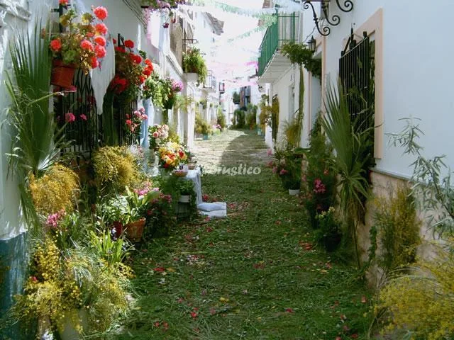 CASA ALBAHACA en HINOJARES — miniatura 11