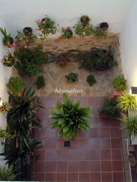 CASA ALBAHACA en HINOJARES — miniatura 16
