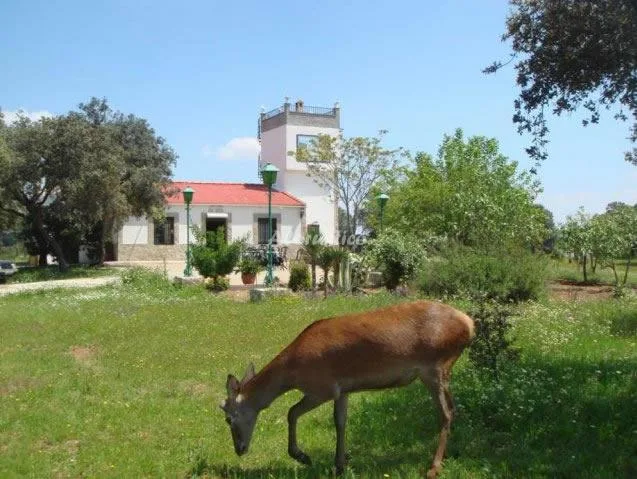 CASA SAN JOSE en MARMOLEJO — miniatura 9