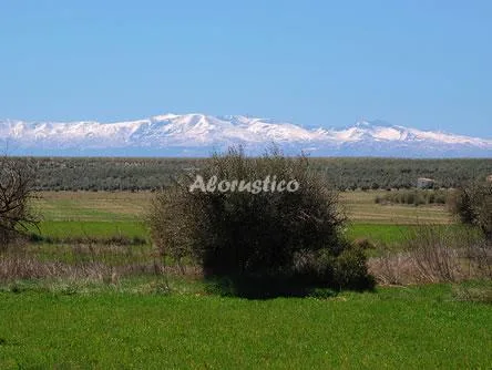ALOJAMIENTO RURAL PELIJAS I en FONTANAR — miniatura 8