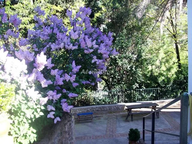 CASA LA MANEZUELA en VILLANUEVA DEL ARZOBISPO — foto 3