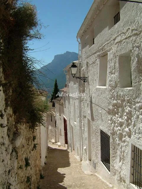 LOS HUERTOS DE SEGURA-APARTAMENTO STANDAR en SEGURA DE LA SIERRA — miniatura 8