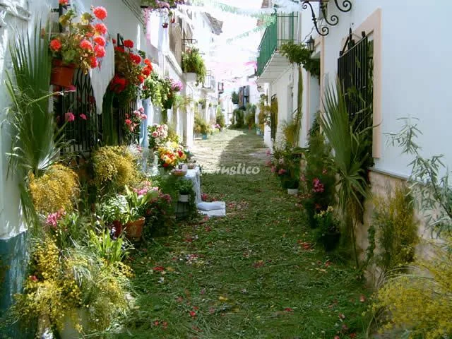 CASA LOS GERANIOS en HINOJARES — miniatura 4
