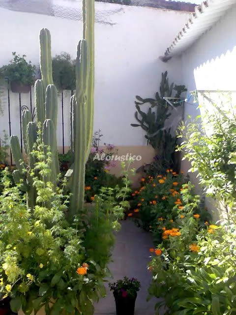 CASA LOS GERANIOS en HINOJARES — miniatura 10