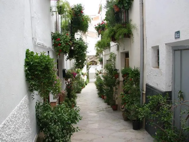 CORTIJO EL MARQUÉS - CASA MELCHOR en QUESADA — miniatura 15