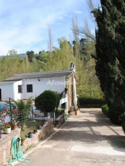 VTAR HERNANDO en VILLANUEVA DEL ARZOBISPO — miniatura 25