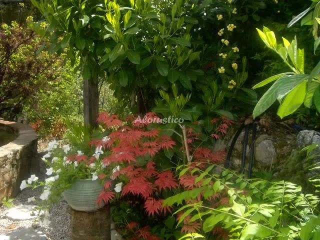 LA CASITA en TORRES — foto 2