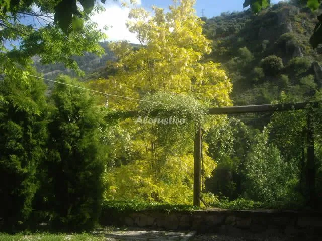LA CASITA en TORRES — miniatura 20