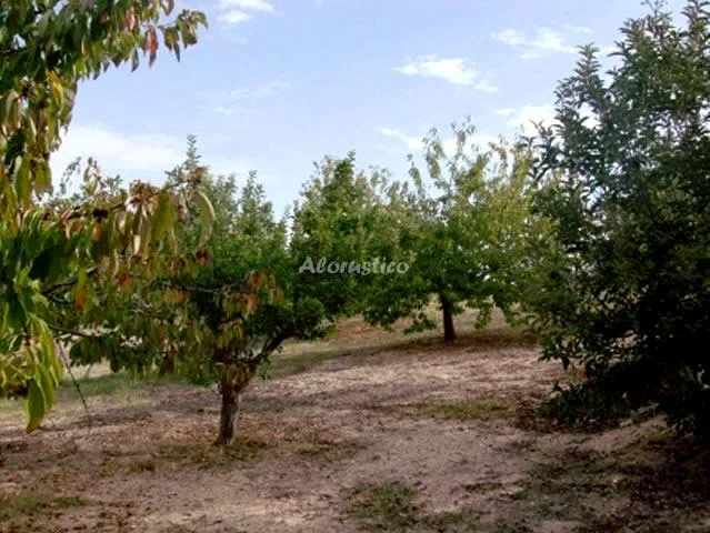 CORTIJO WENCESLAO en ALCALÁ LA REAL — miniatura 10