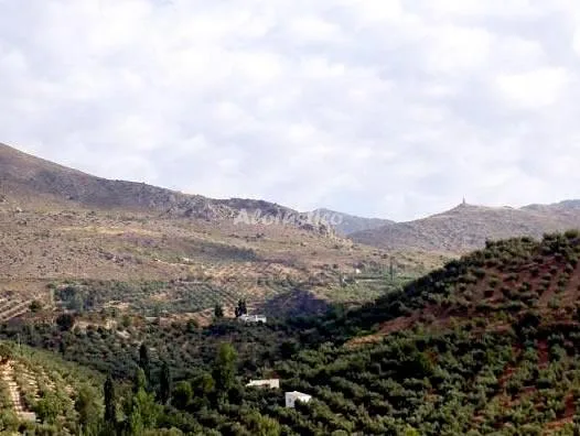 Alojamiento turístico CORTIJO EL AGUELO en HUELMA · JAÉN