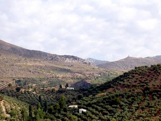 Alojamiento turístico CORTIJO EL AGUELO en HUELMA, JAÉN