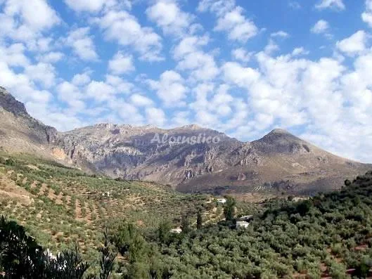 CORTIJO EL AGUELO en HUELMA — miniatura 15