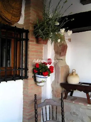 POSA LA CESTERIA en BAÑOS DE LA ENCINA — miniatura 8