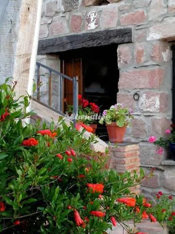 POSA LA CESTERIA en BAÑOS DE LA ENCINA — miniatura 25