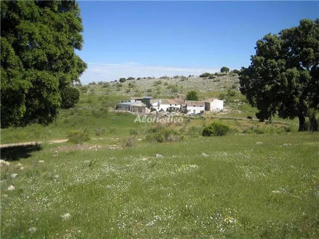 CORTIJO RAFAEL DE LA TORRE en ARBUNIEL — foto 2