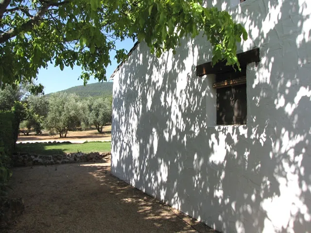 CORTIJO DEL CURA - GUADALIMAR en SEGURA DE LA SIERRA — miniatura 8