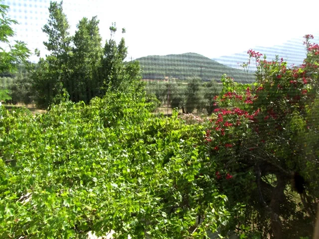 CORTIJO DEL CURA - GUADALIMAR en SEGURA DE LA SIERRA — miniatura 17