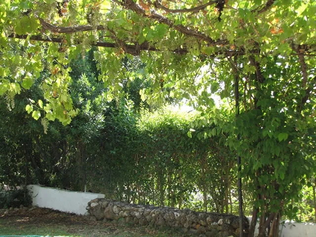 CORTIJO DEL CURA - GUADALIMAR en SEGURA DE LA SIERRA — miniatura 9